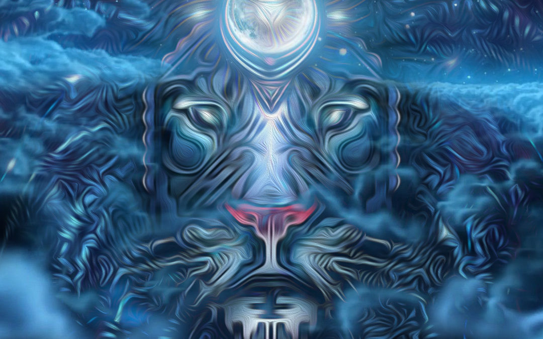 Lion Luna LuvDown – LIVE at Asheville Full Moon Gathering January 2016
