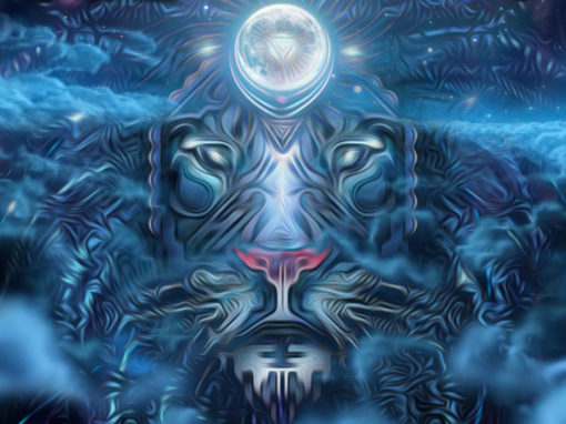 Lion Luna LuvDown – LIVE at Asheville Full Moon Gathering January 2016