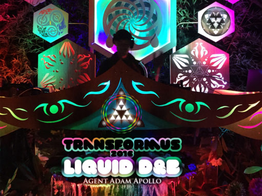 Transformus 2016 – Liquid D&B & Chillstep