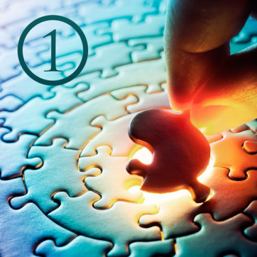 Level 1: Transformation, Strategy & Planning